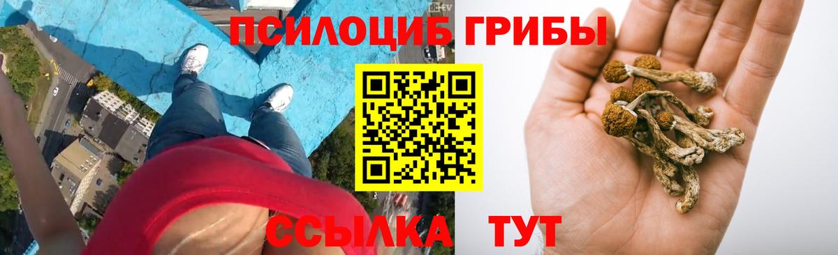 Псилоцибиновые грибы Magic Shrooms Слободской